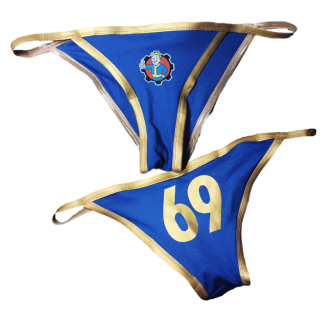 Vault 69 Panties