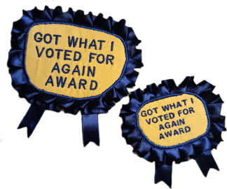 Got what I voted for again award